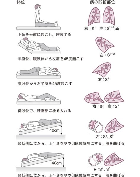 左前傾側臥位|体位により変化する換気運動と呼吸機能